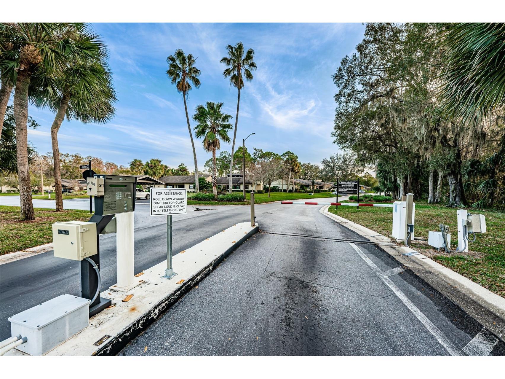 160 James Court Oldsmar FL 34677 TB8503480 image50