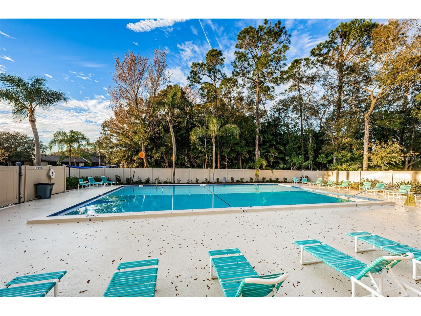 160 James Court Oldsmar FL 34677 TB8503480 image53