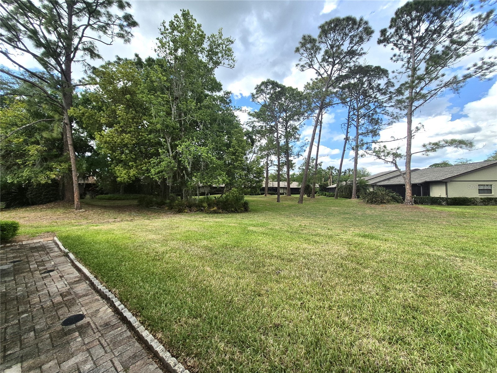 160 Joanne Place Oldsmar FL 34677 TB8493722 image32