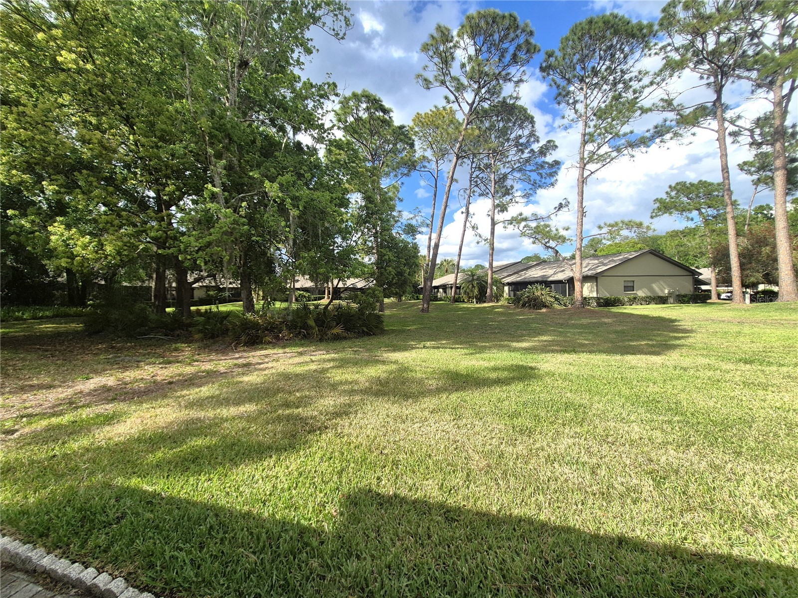 160 Joanne Place Oldsmar FL 34677 TB8493722 image33