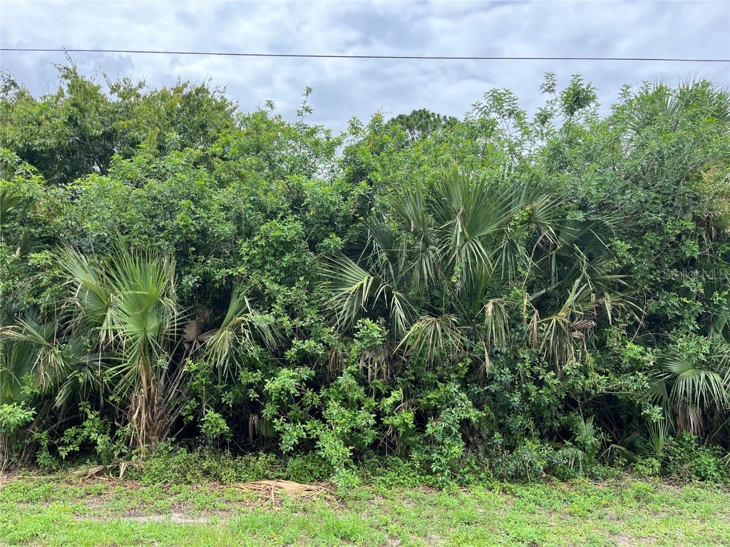 160 Mcarthur Boulevard Lehigh Acres FL 33974 A4658336 image2