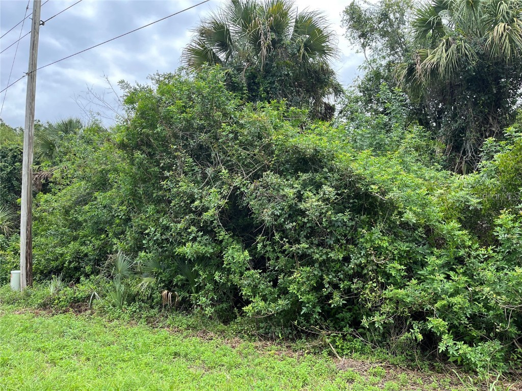 160 Mcarthur Boulevard Lehigh Acres FL 33974 A4658336 image3