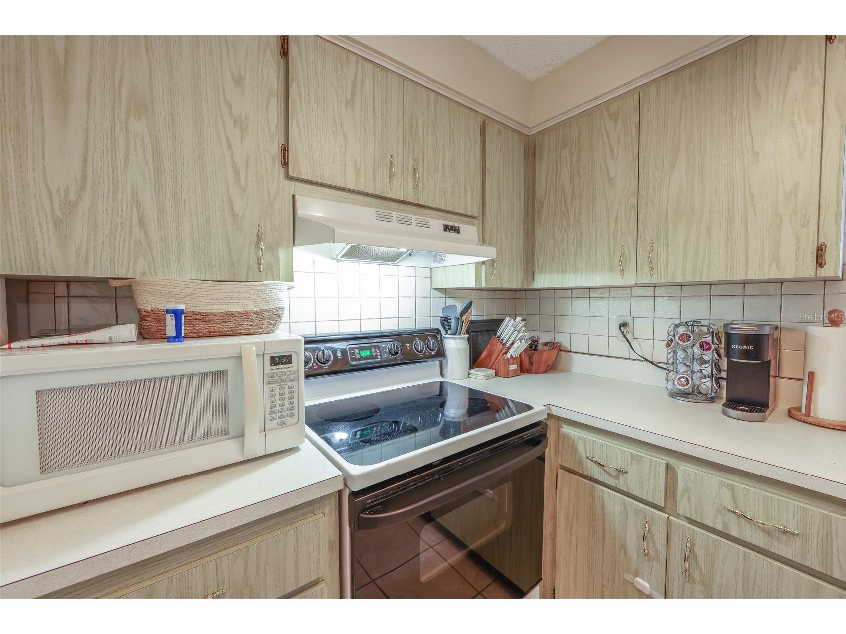160 Meadowlark Drive Safety Harbor FL 34695 TB8521690 image19