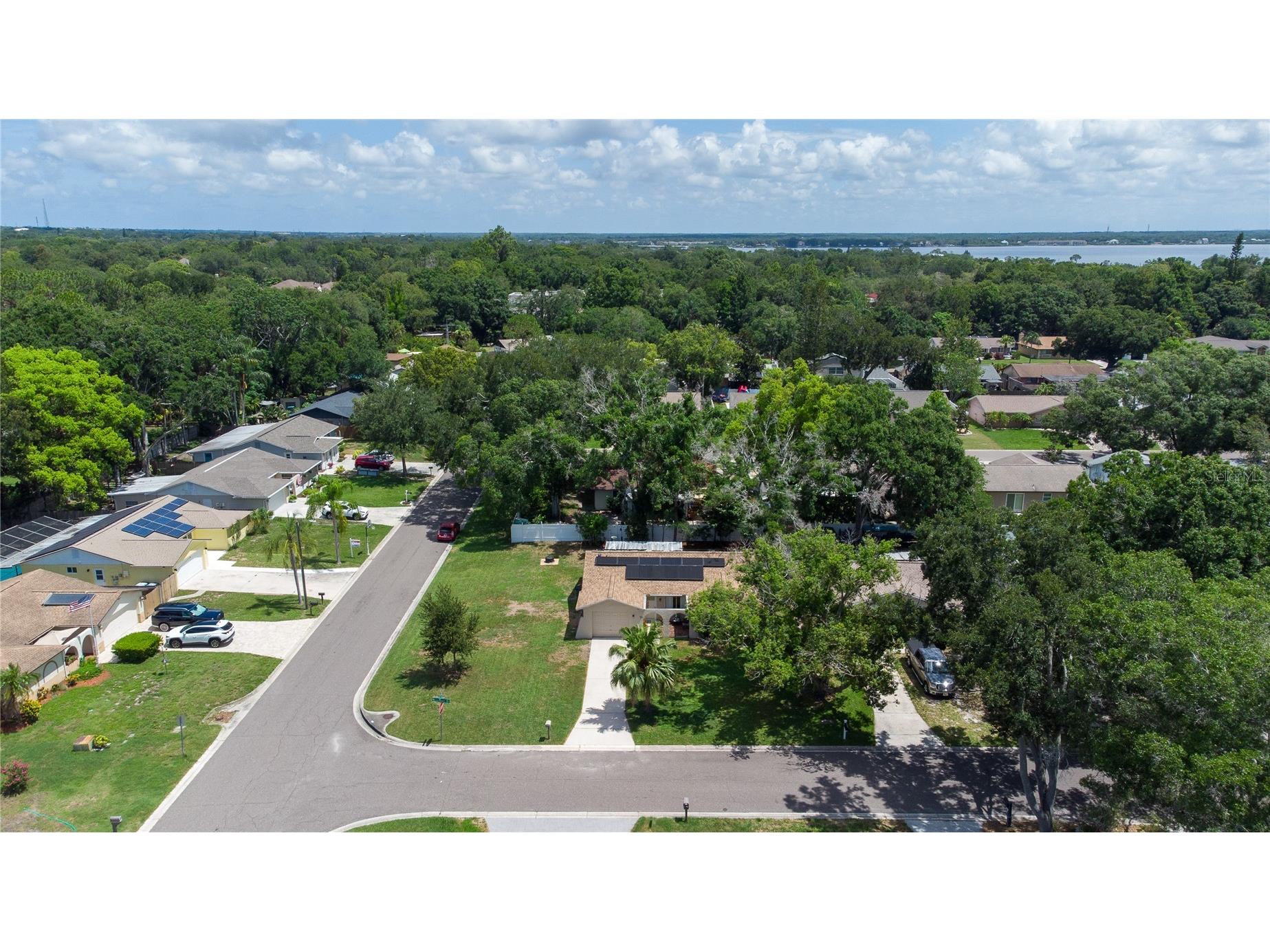 160 Meadowlark Drive Safety Harbor FL 34695 TB8521690 image48