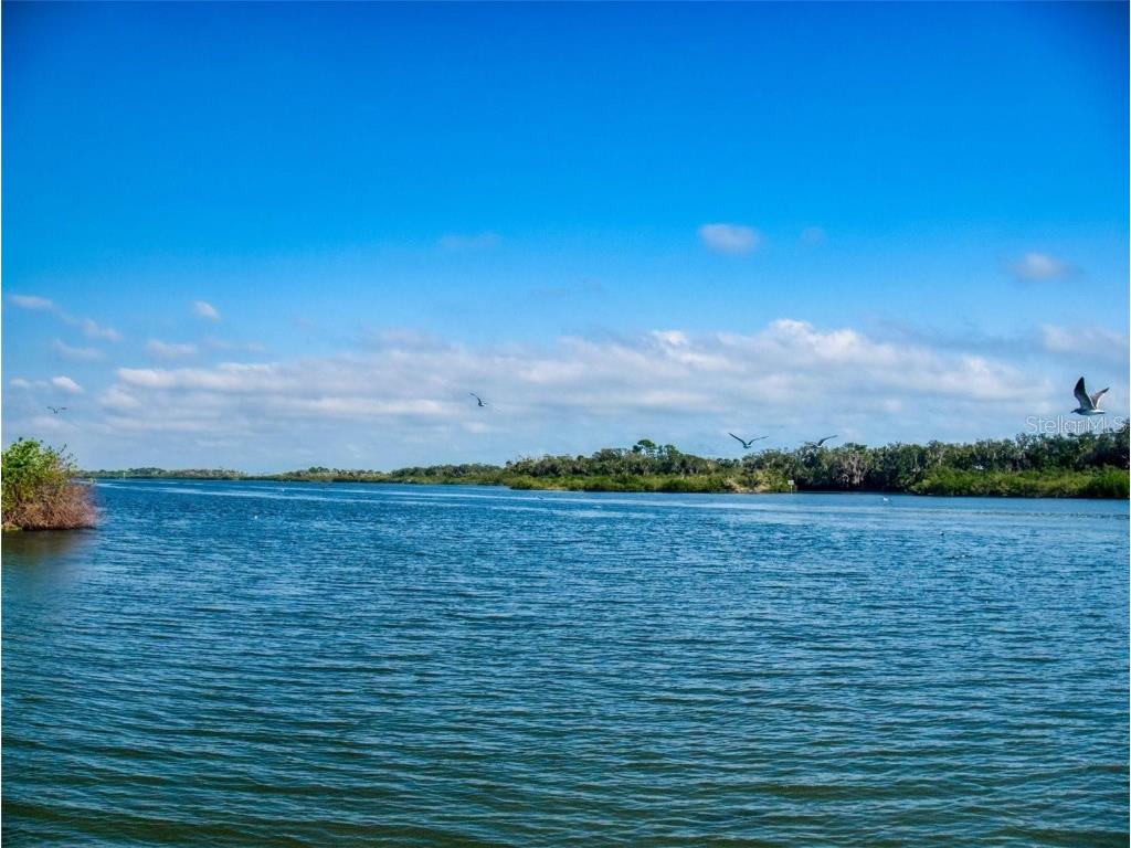 160 Red Bass Lane Edgewater FL 32141 NS1082413 image7