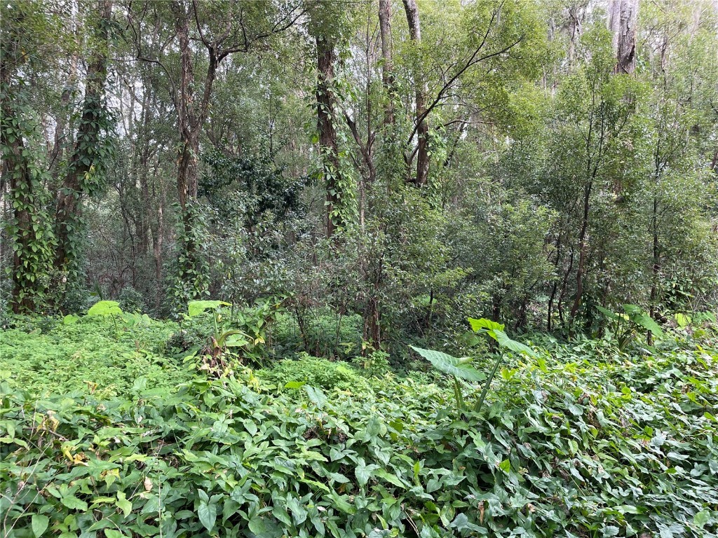 160 Washington Avenue Brooksville FL 34604 W7852330 image1