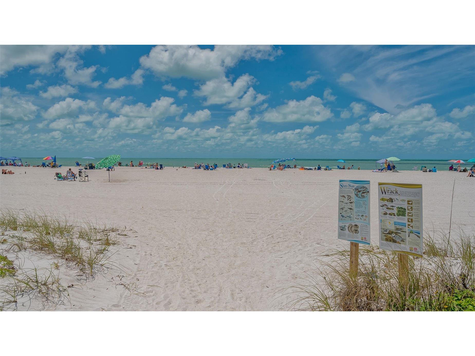 160 Whittier Drive Sarasota FL 34236 - GULF OF AMERICA A4680584 image99