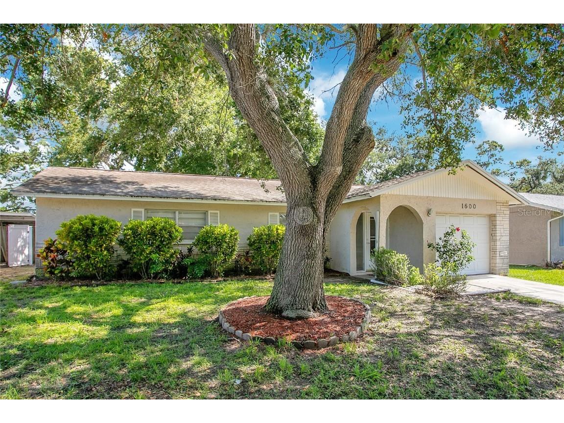 1600 Amberlea Drive N Dunedin FL 34698 TB8399183 image1