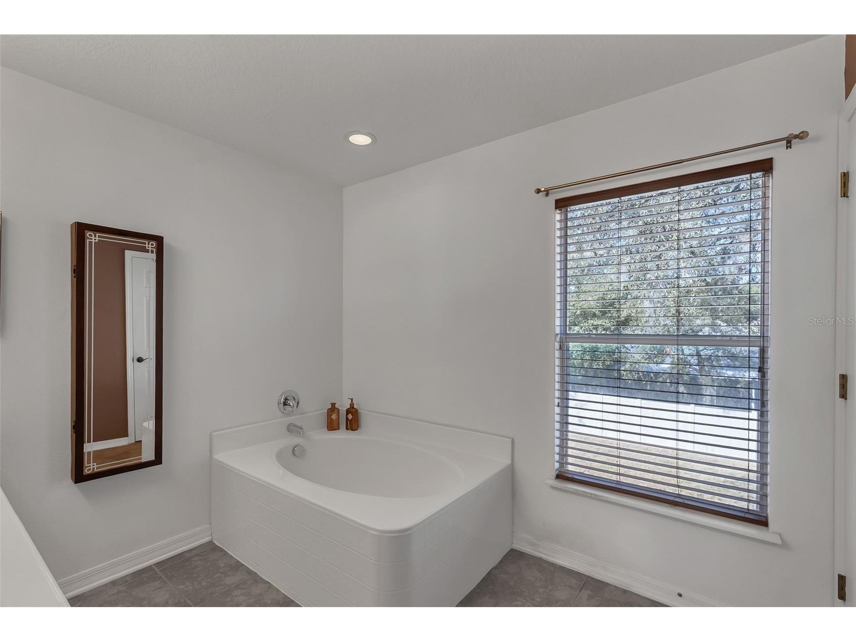 1600 Daybreak Drive Fruitland Park FL 34731 O6378369 image22