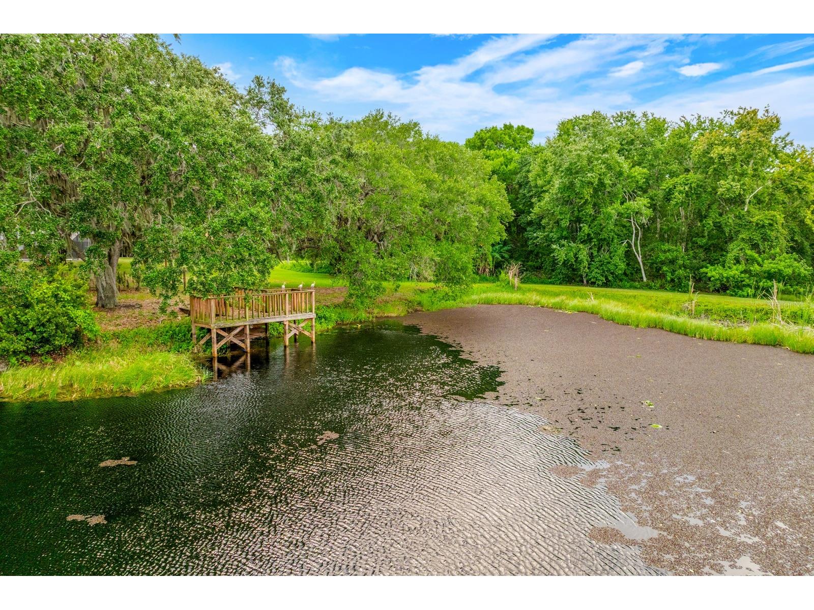 1600 E 10th Street Saint Cloud FL 34771 - LAKE RUNNYMEDE O6413361 image38