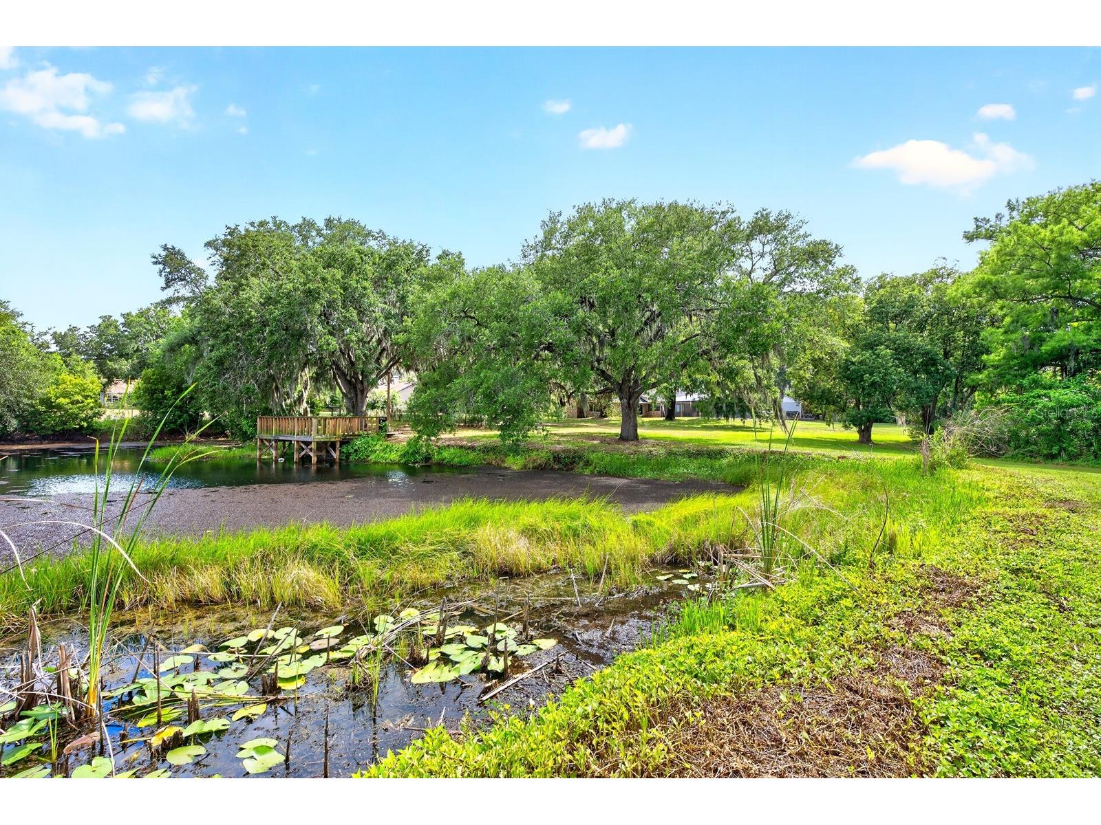 1600 E 10th Street Saint Cloud FL 34771 - LAKE RUNNYMEDE O6413361 image39