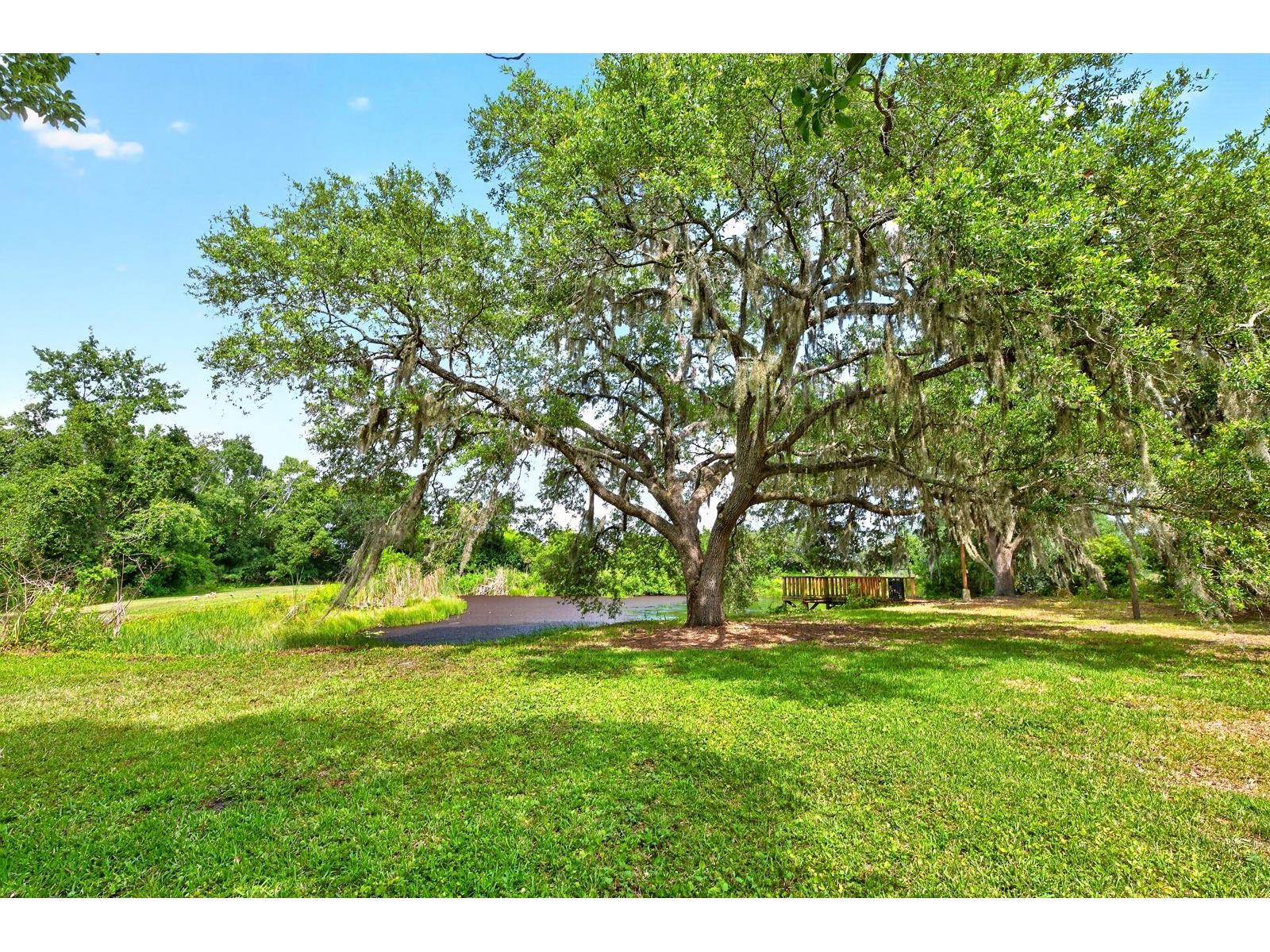 1600 E 10th Street Saint Cloud FL 34771 - LAKE RUNNYMEDE O6413361 image4