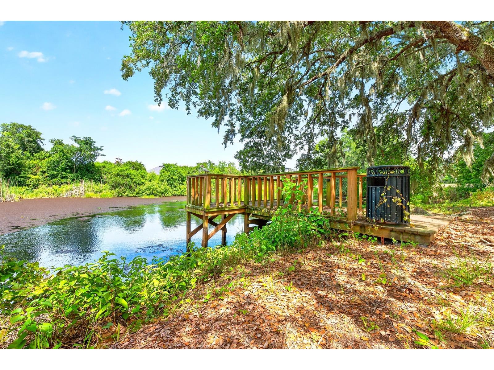 1600 E 10th Street Saint Cloud FL 34771 - LAKE RUNNYMEDE O6413361 image40