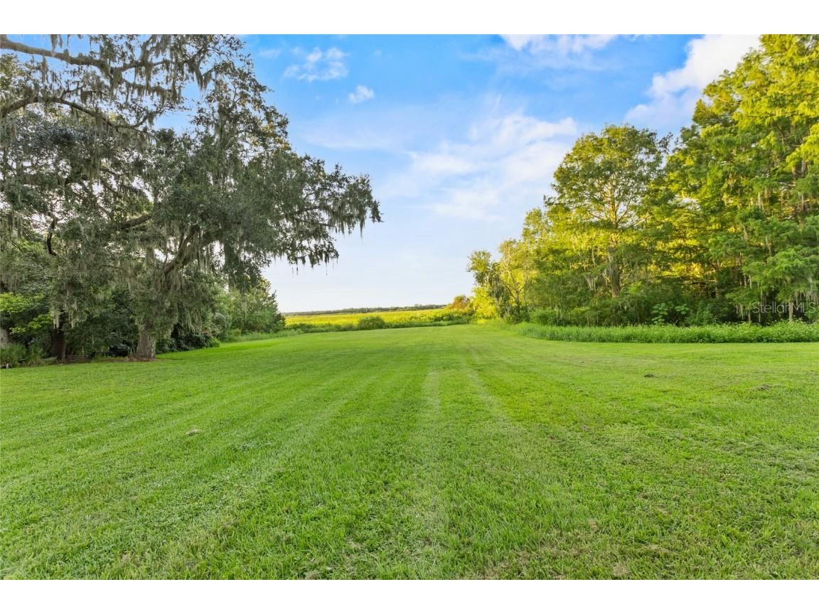 1600 E 10th Street Saint Cloud FL 34771 - LAKE RUNNYMEDE S5133540 image45