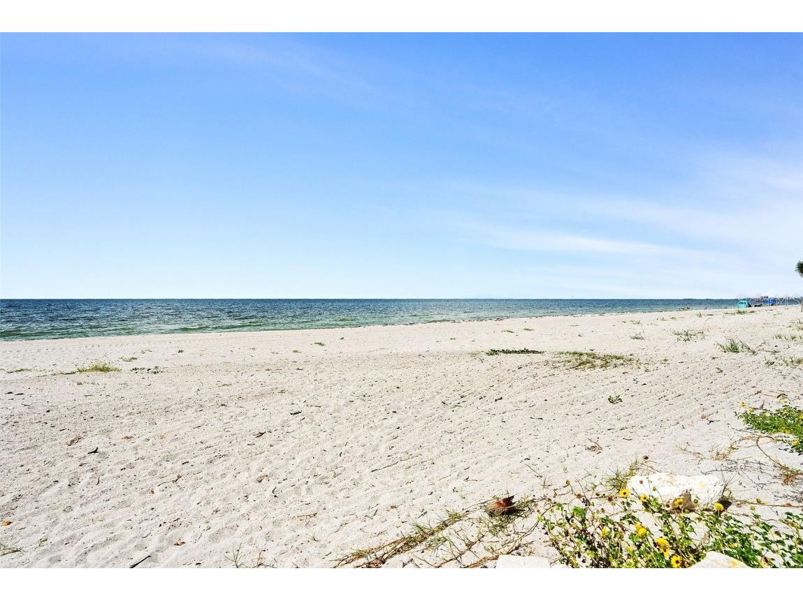 1600 Gulf Boulevard #1016 Clearwater Beach FL 33767 TB8433261 image61