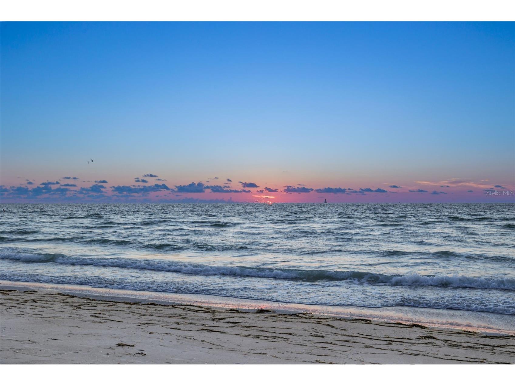 1600 Gulf Boulevard #618 Clearwater FL 33767 - GULF OF MEXICO TB8464904 image45