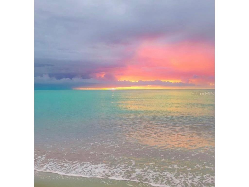 1600 Gulf Boulevard #817 Clearwater Beach FL 33767 TB8360937 image4