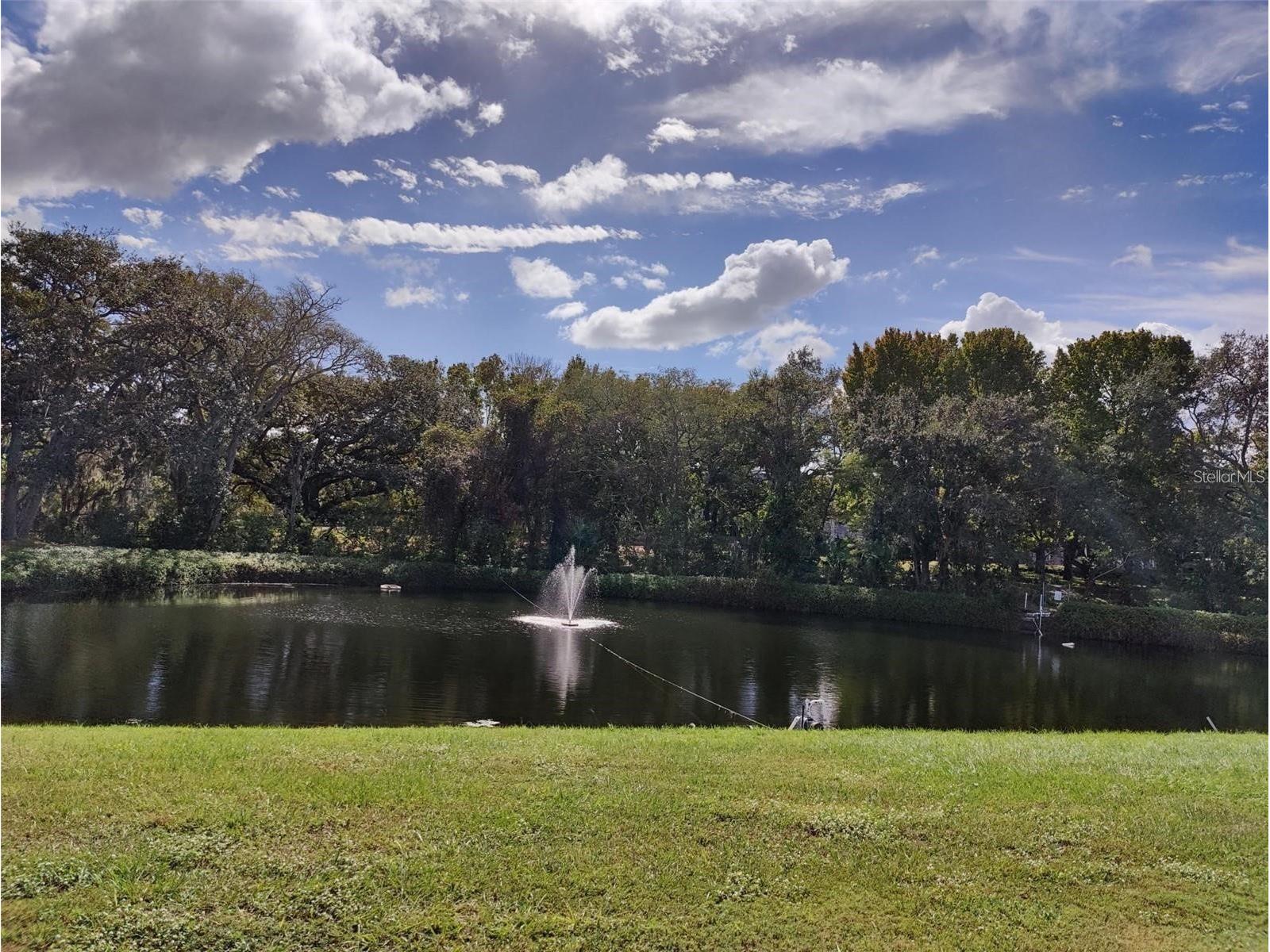 1600 N Old Coachman Road #716 Clearwater FL 33765 TB8494504 image14