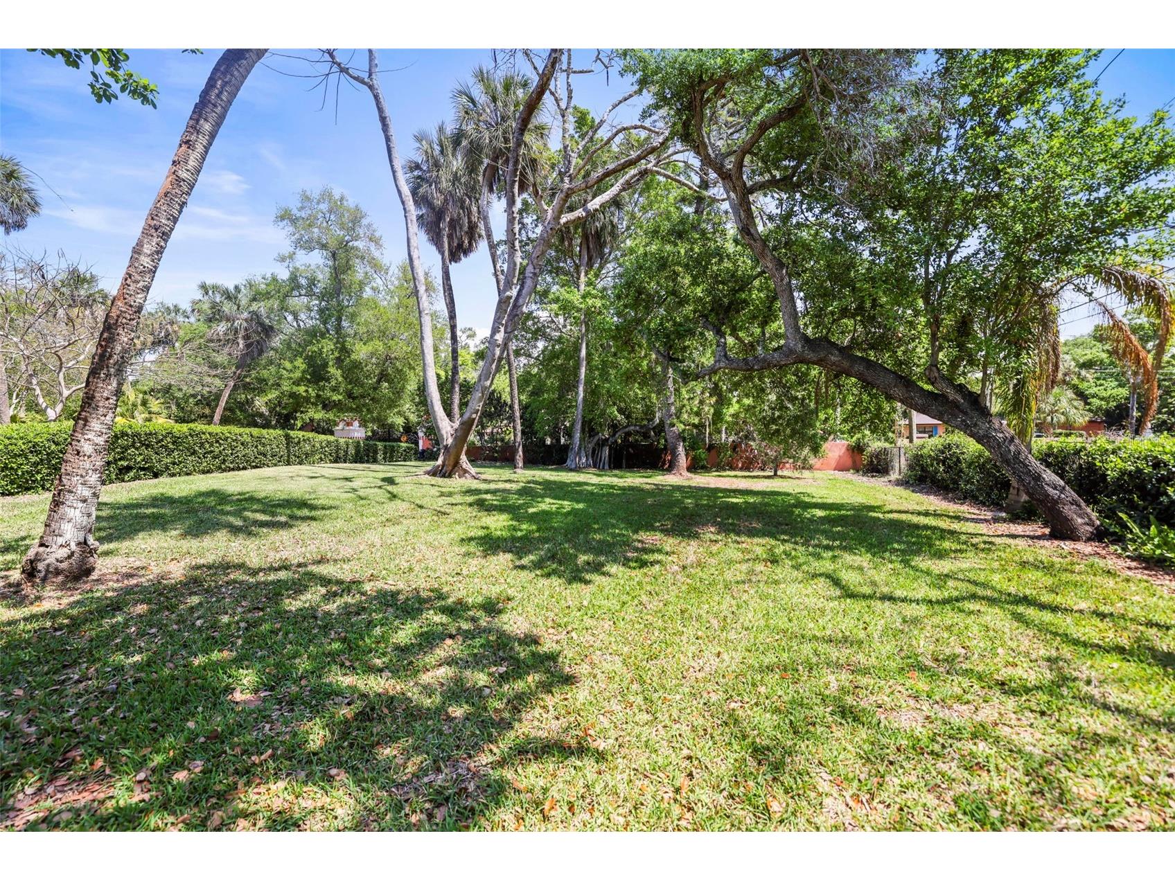 1600 Park Street N Saint Petersburg FL 33710 TB8490752 image76