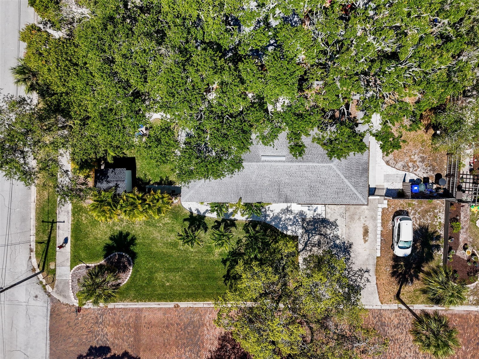 1600 Pasadena Dr #A Dunedin FL 34698 TB8509301 image18