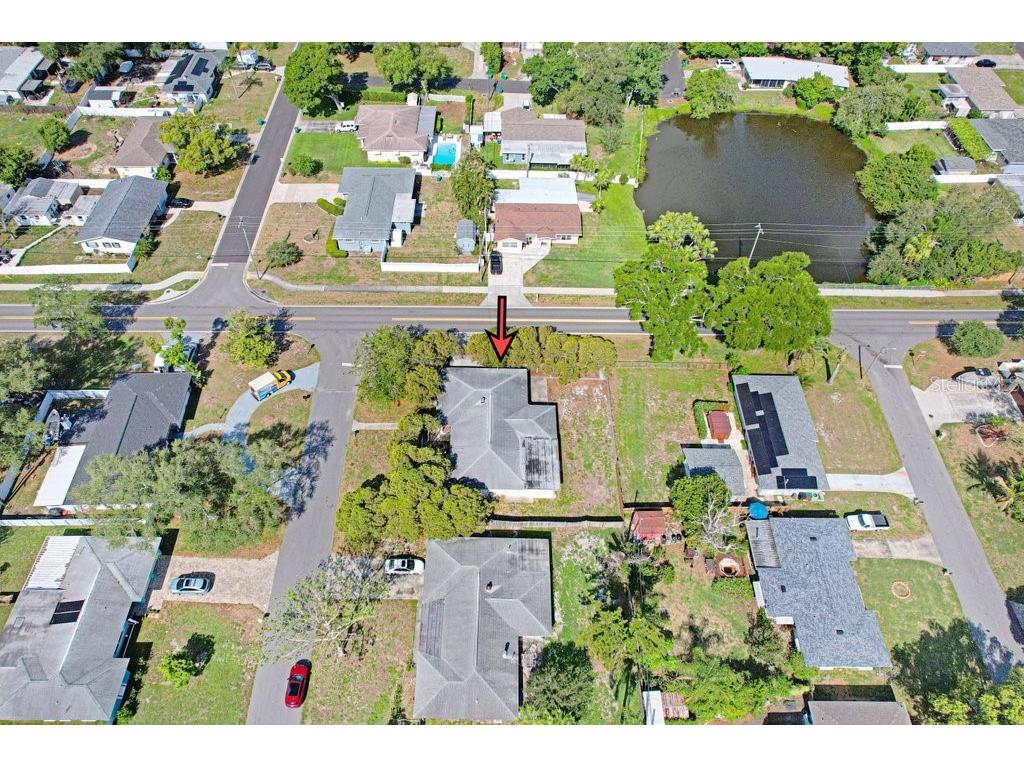 1600 Pinewood Drive Clearwater FL 33756 TB8483323 image37