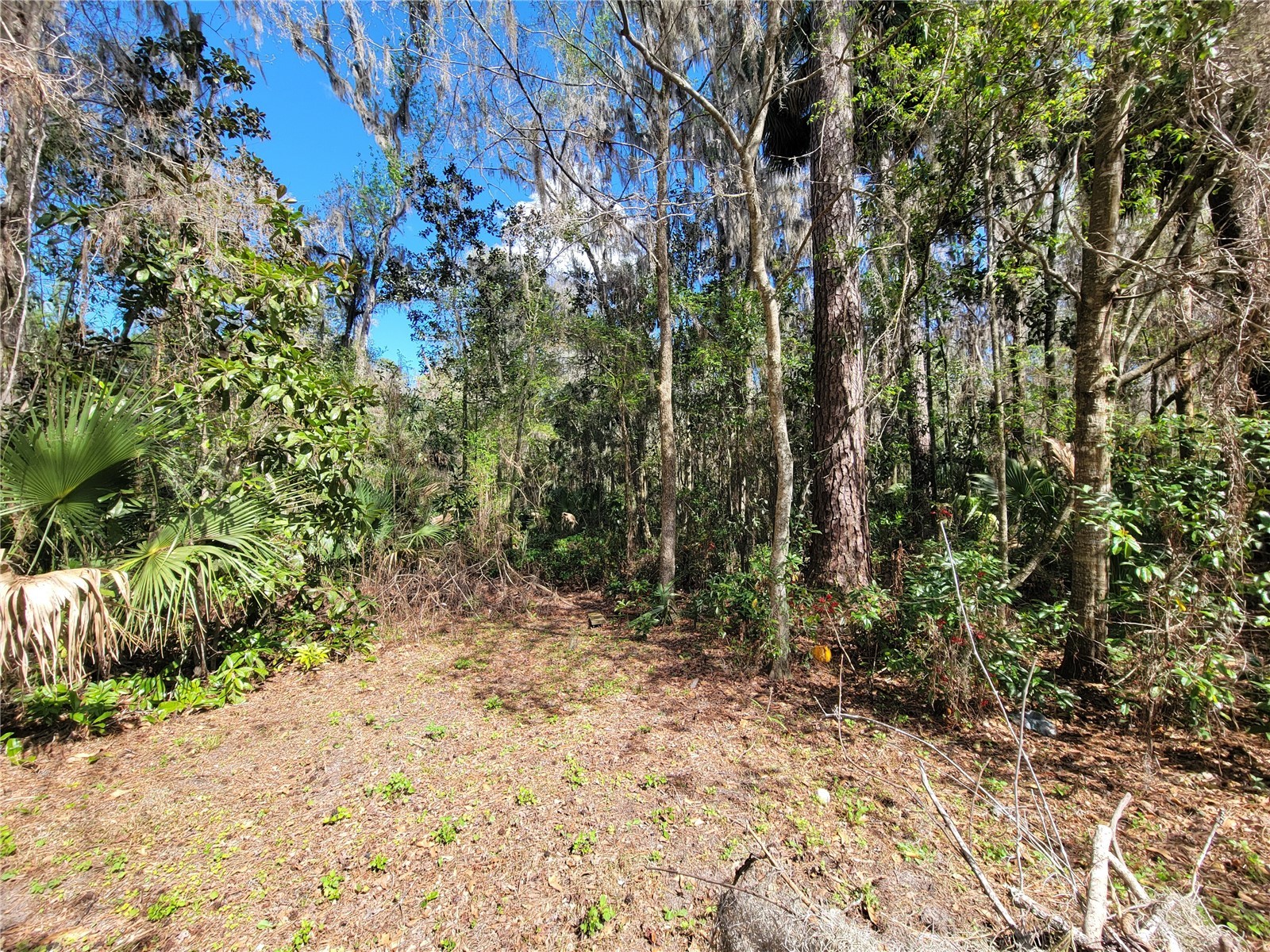1600 SW 42nd Street Ocala FL 34471 OM719627 image29