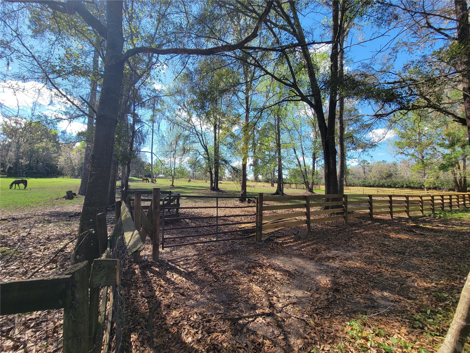 1600 SW 42nd Street Ocala FL 34471 OM719627 image30