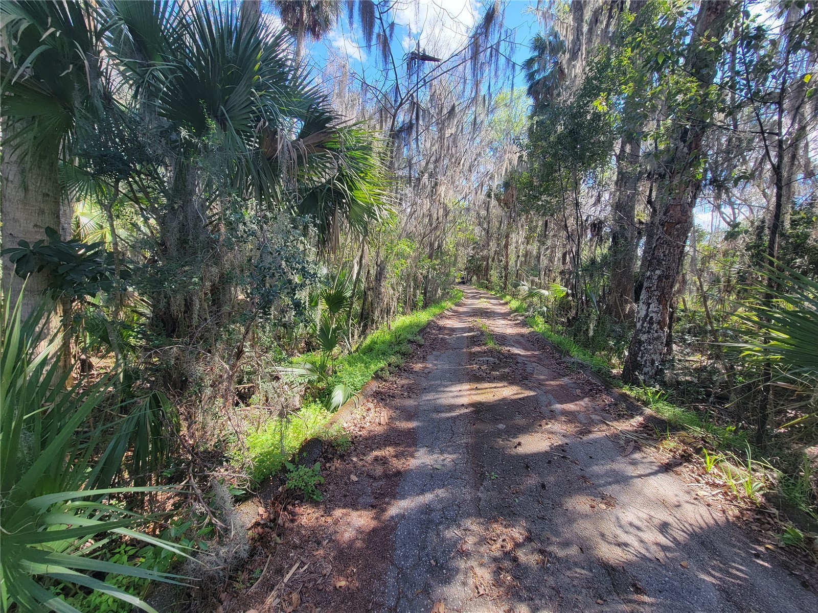 1600 SW 42nd Street Ocala FL 34471 OM719627 image33