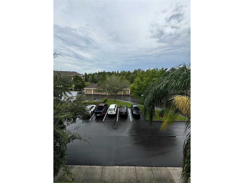 1600 Villa Capri Circle #307 Odessa FL 33556 TB8429831 image23