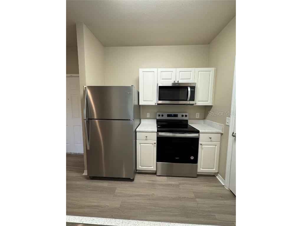 1600 Villa Capri Circle #307 Odessa FL 33556 TB8429831 image8