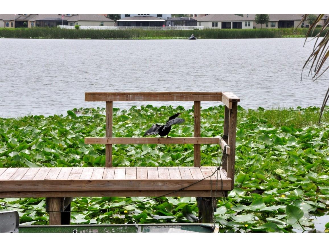 1600 W Lake Parker Drive #A 21 Lakeland FL 33805 - LAKE PARKER L4956907 image27