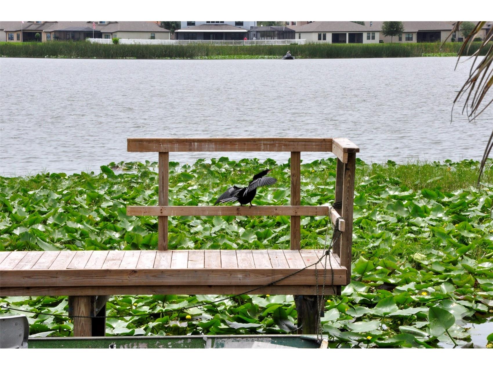 1600 W Lake Parker Drive #A3 Lakeland FL 33805 L4960983 image19