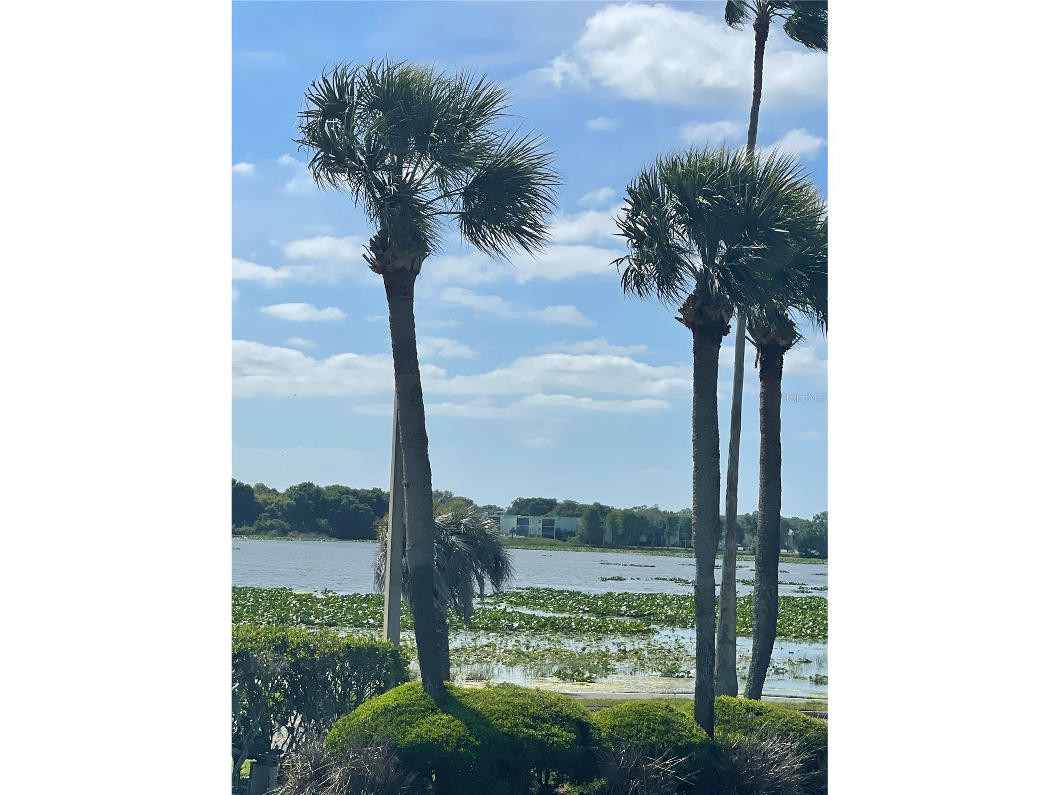 1600 W Lake Parker Drive #A3 Lakeland FL 33805 L4960983 image37