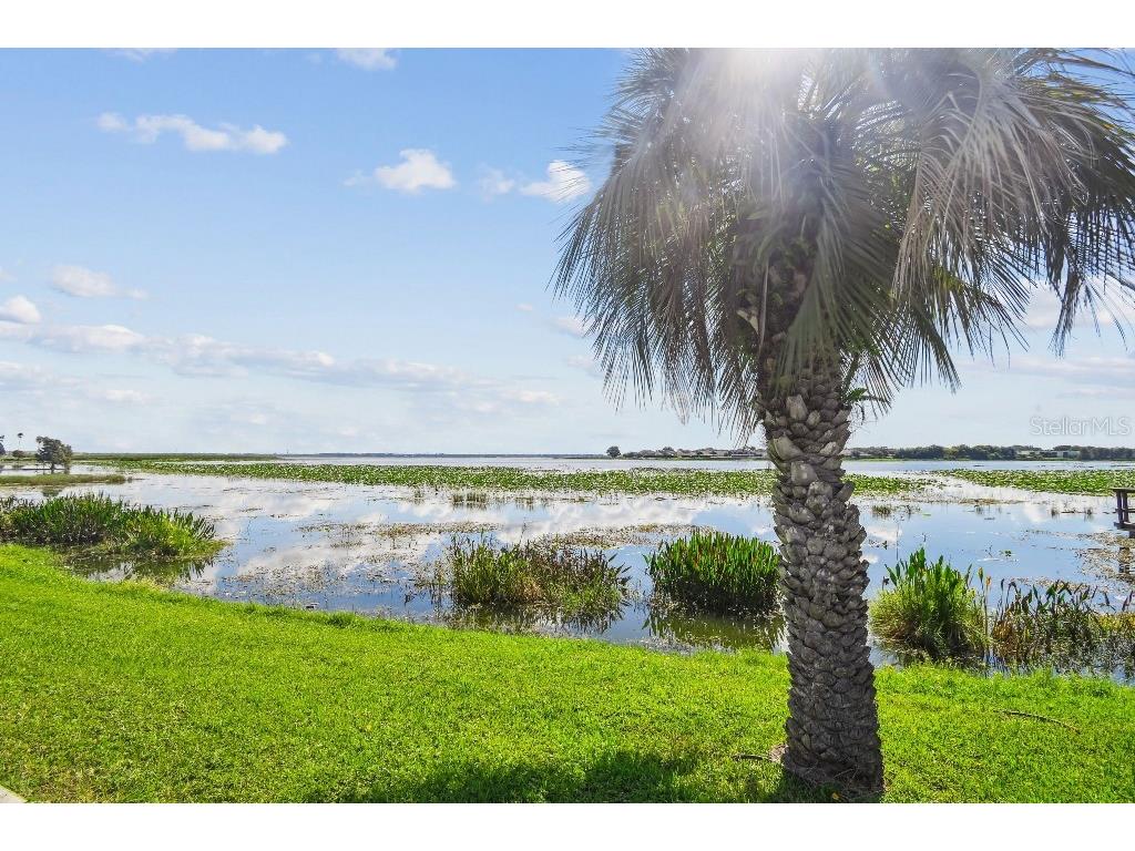 1600 W Lake Parker Drive #B22 Lakeland FL 33805 TB8433428 image16