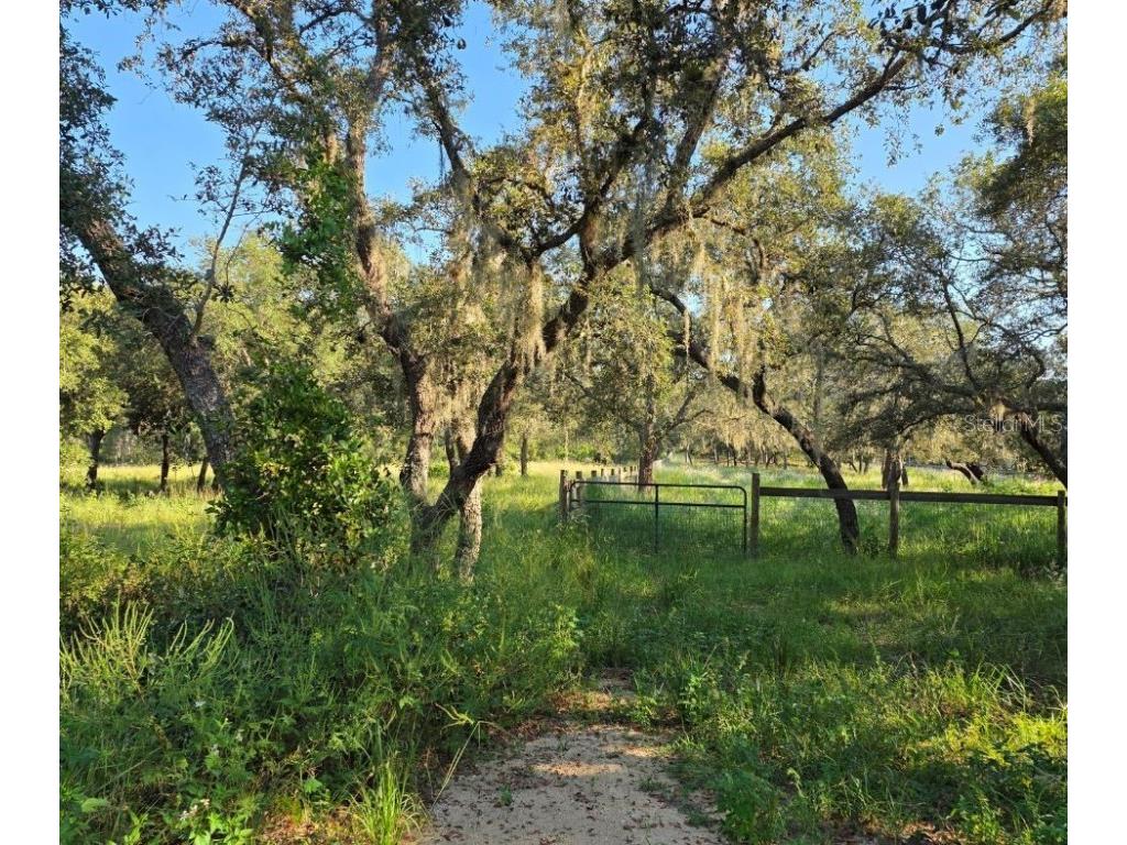 1600 Watkins Road Haines City FL 33844 P4936027 image1