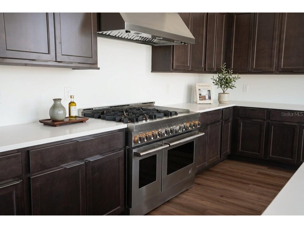 16000 Pendio Drive Montverde FL 34756 O6396121 image13