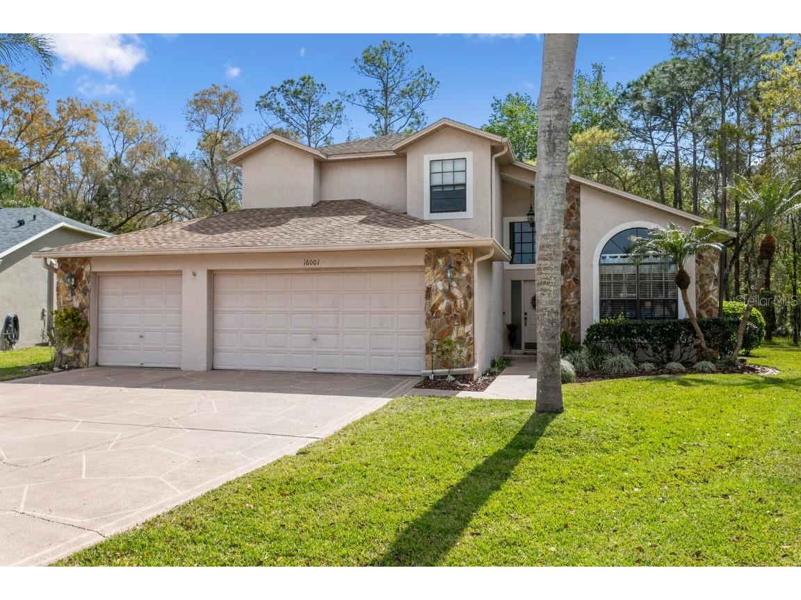 16001 Royal Aberdeen Place Odessa FL 33556 T3508124 image1