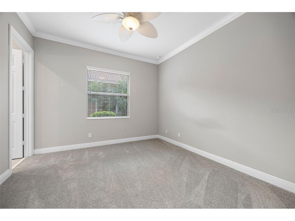 16005 Cape Coral Drive Wimauma FL 33598 TB8432168 image25