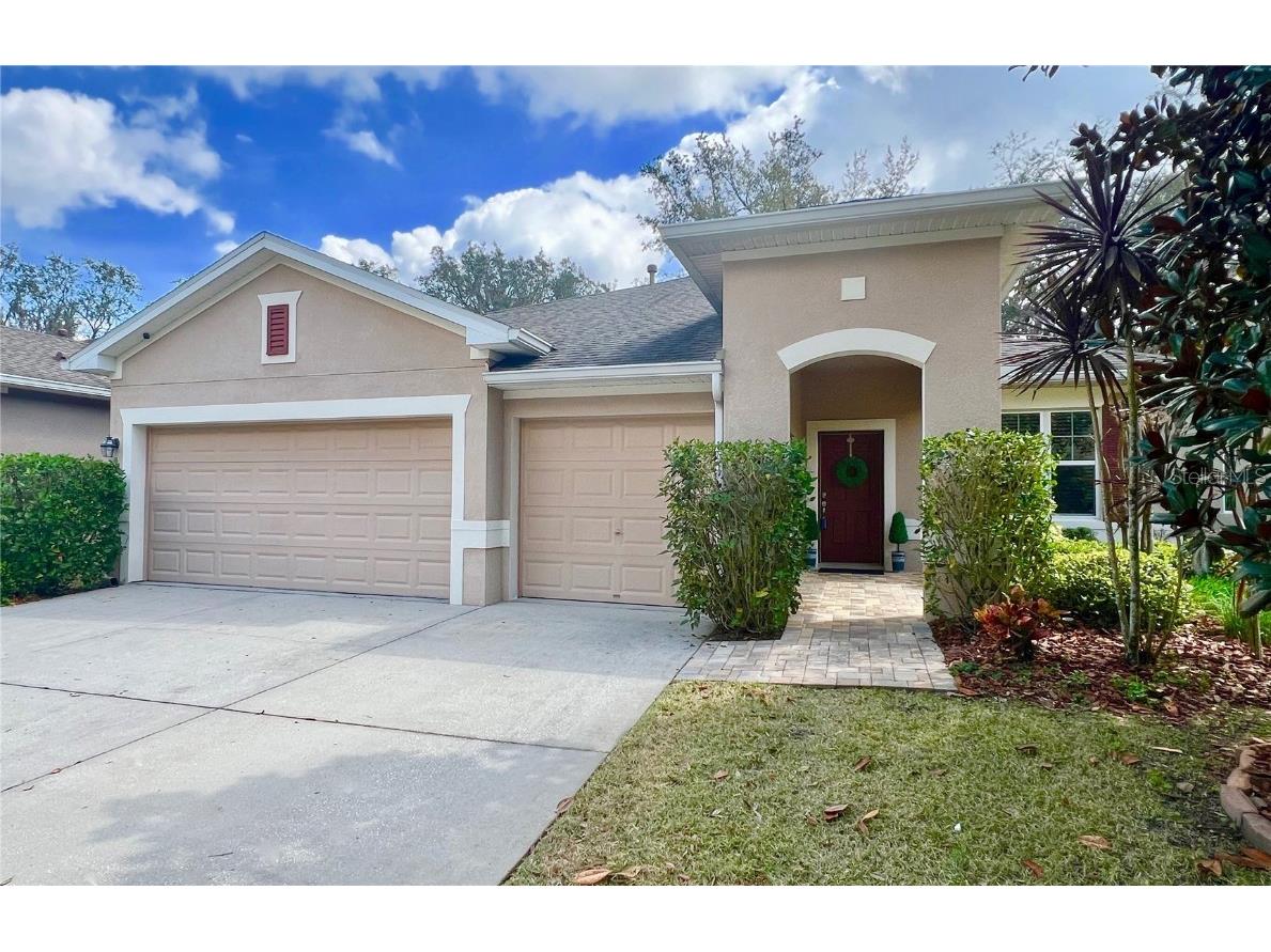 16005 Courtside View Drive Lithia FL 33547 O6182021 image1