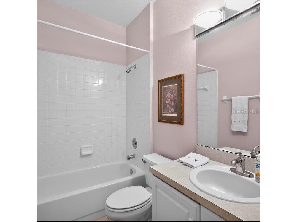 16005 Ridley Place Tampa FL 33647 A4662993 image20