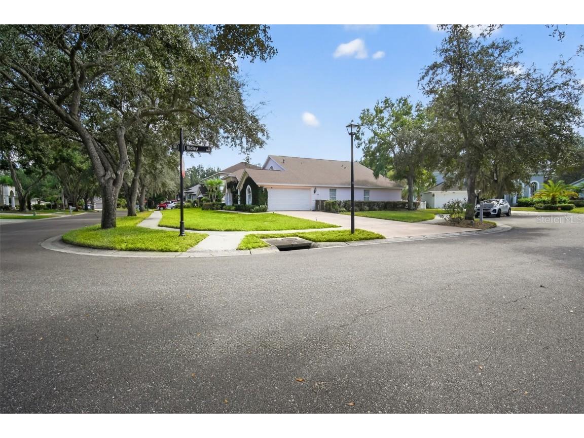 16005 Ridley Place Tampa FL 33647 A4662993 image3