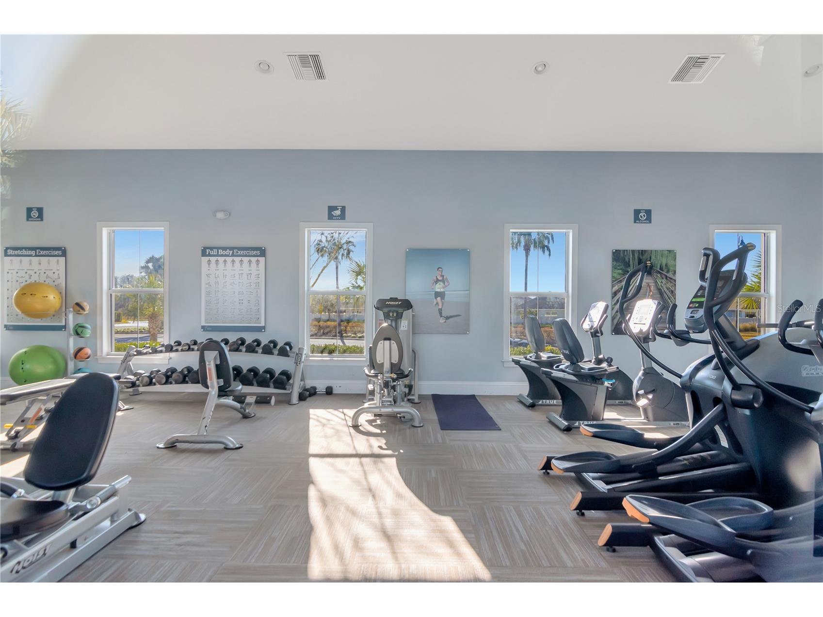 16005 Tuscany Hillside Road Odessa FL 33556 TB8475796 image15