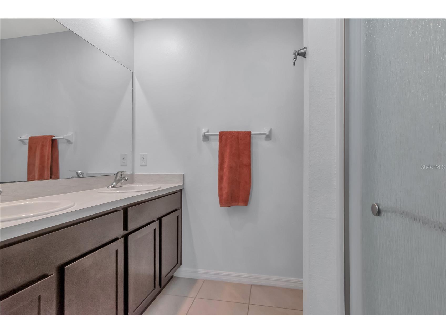 16005 Tuscany Hillside Road Odessa FL 33556 TB8475796 image8