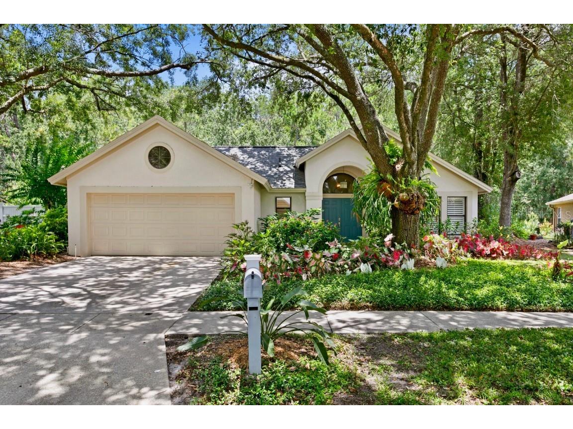 16006 Penwood Drive Tampa FL 33647 T3450924 image1