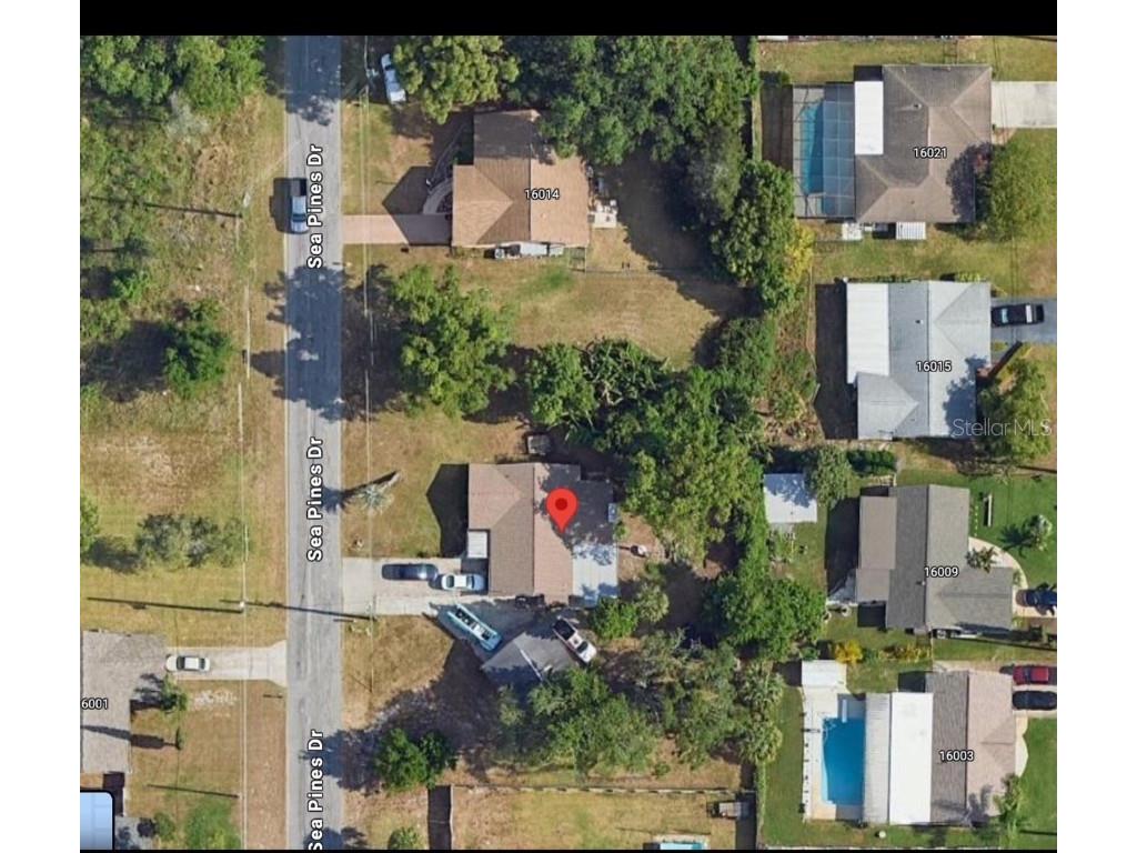 16006 Sea Pines Hudson FL 34667 TB8426674 image3