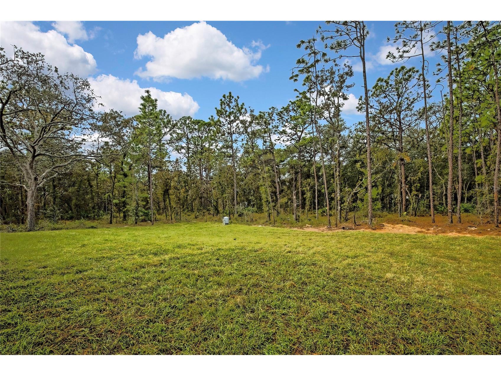 16007 Magpie Road Weeki Wachee FL 34614 O6358908 image53