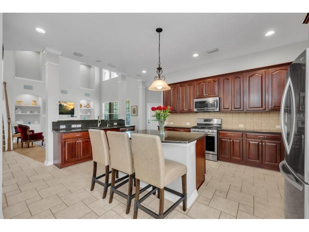 16007 Mulberrypark Circle Lithia FL 33547 TB8517217 image16