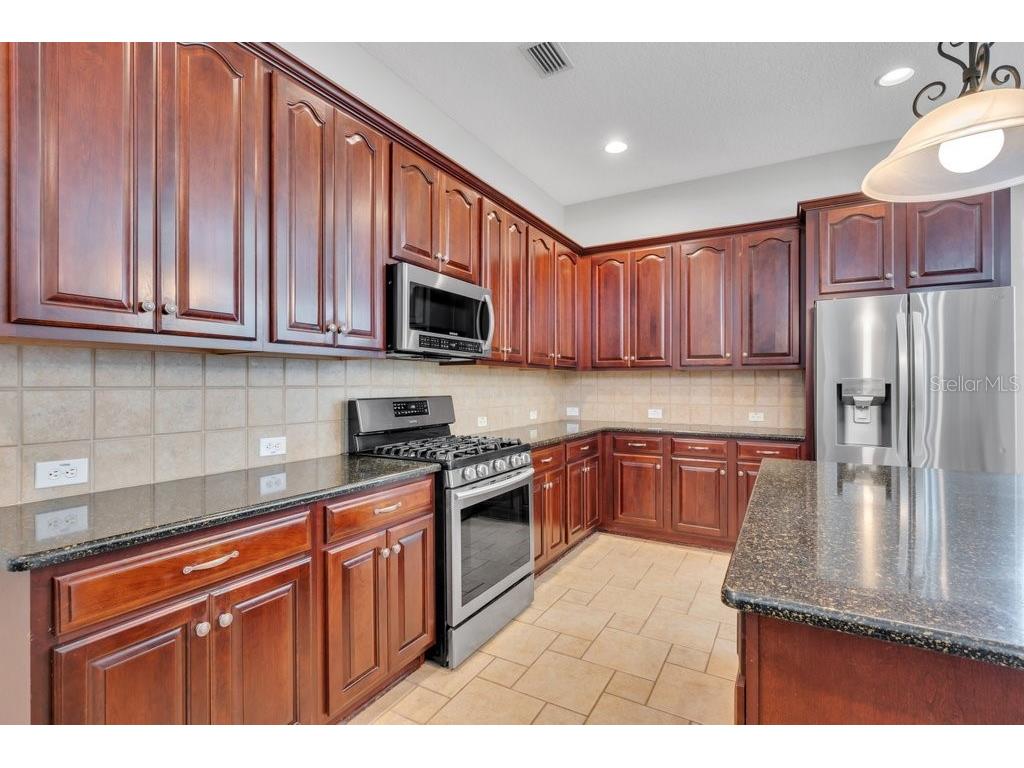 16007 Mulberrypark Circle Lithia FL 33547 TB8517217 image18