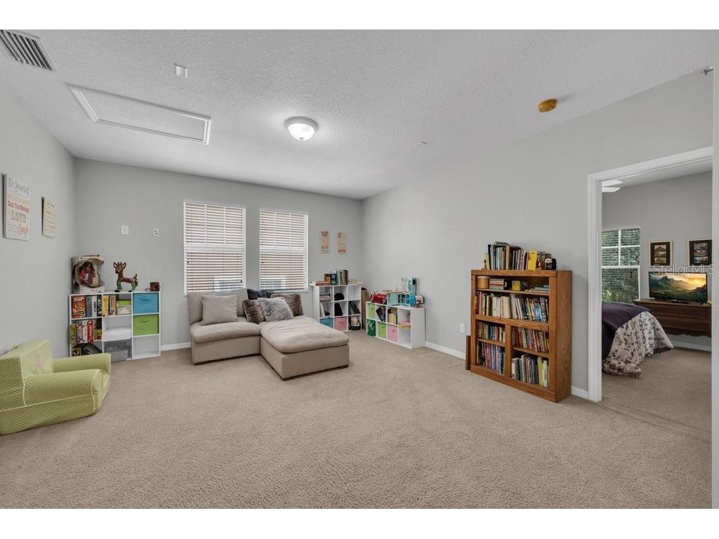 16007 Mulberrypark Circle Lithia FL 33547 TB8517217 image26