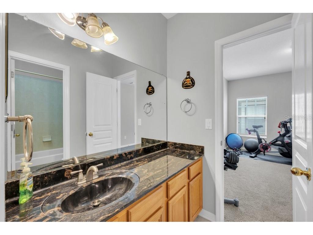 16007 Mulberrypark Circle Lithia FL 33547 TB8517217 image29